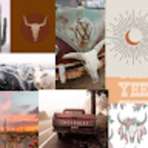 Meet your Posher, Maesa